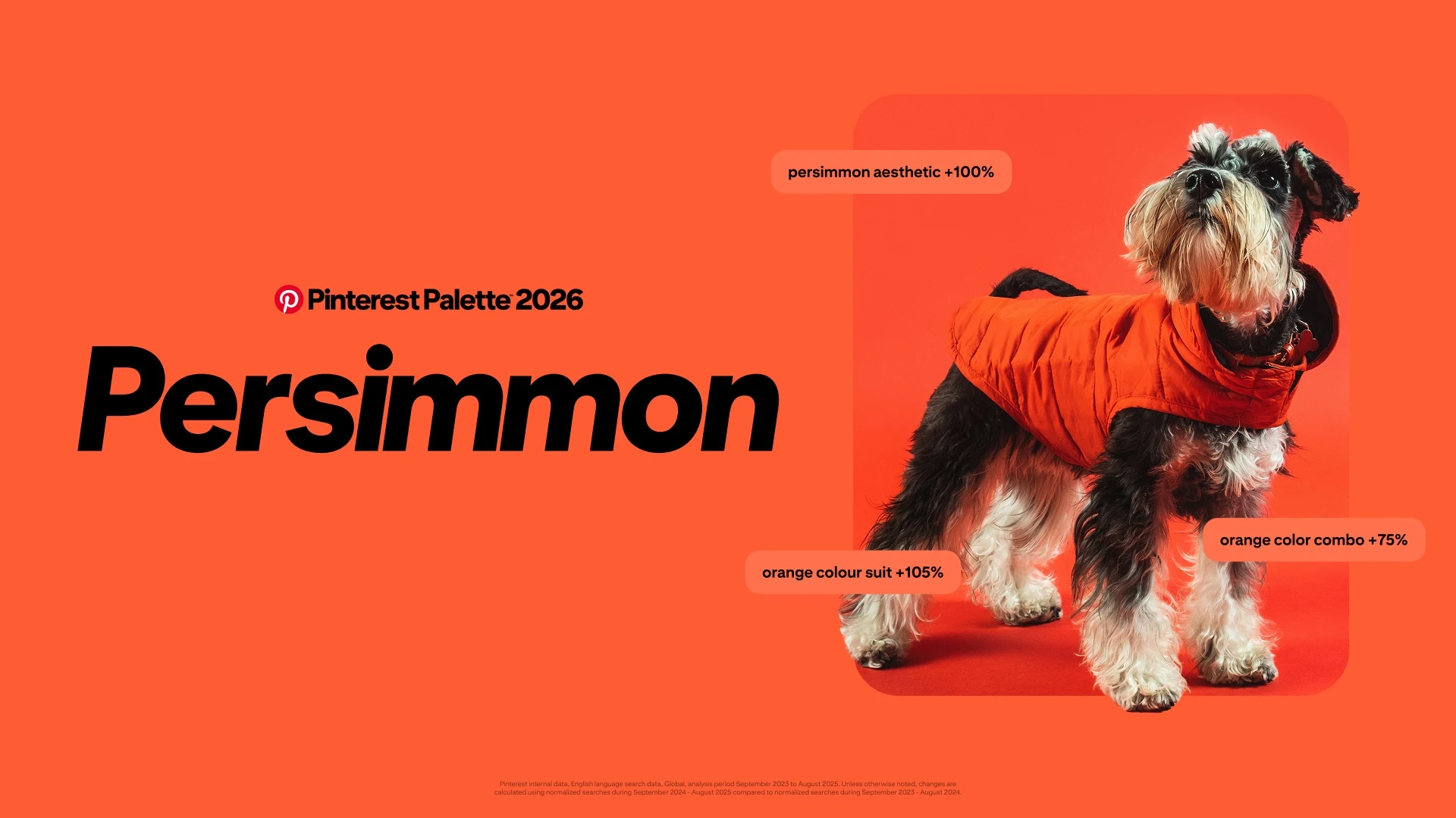 Persimmon-Hero-Art